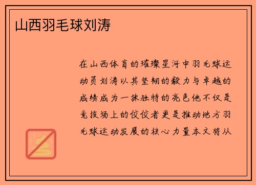 山西羽毛球刘涛