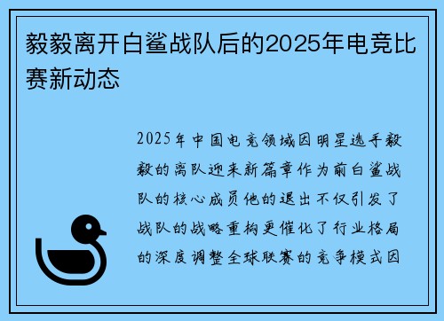 毅毅离开白鲨战队后的2025年电竞比赛新动态